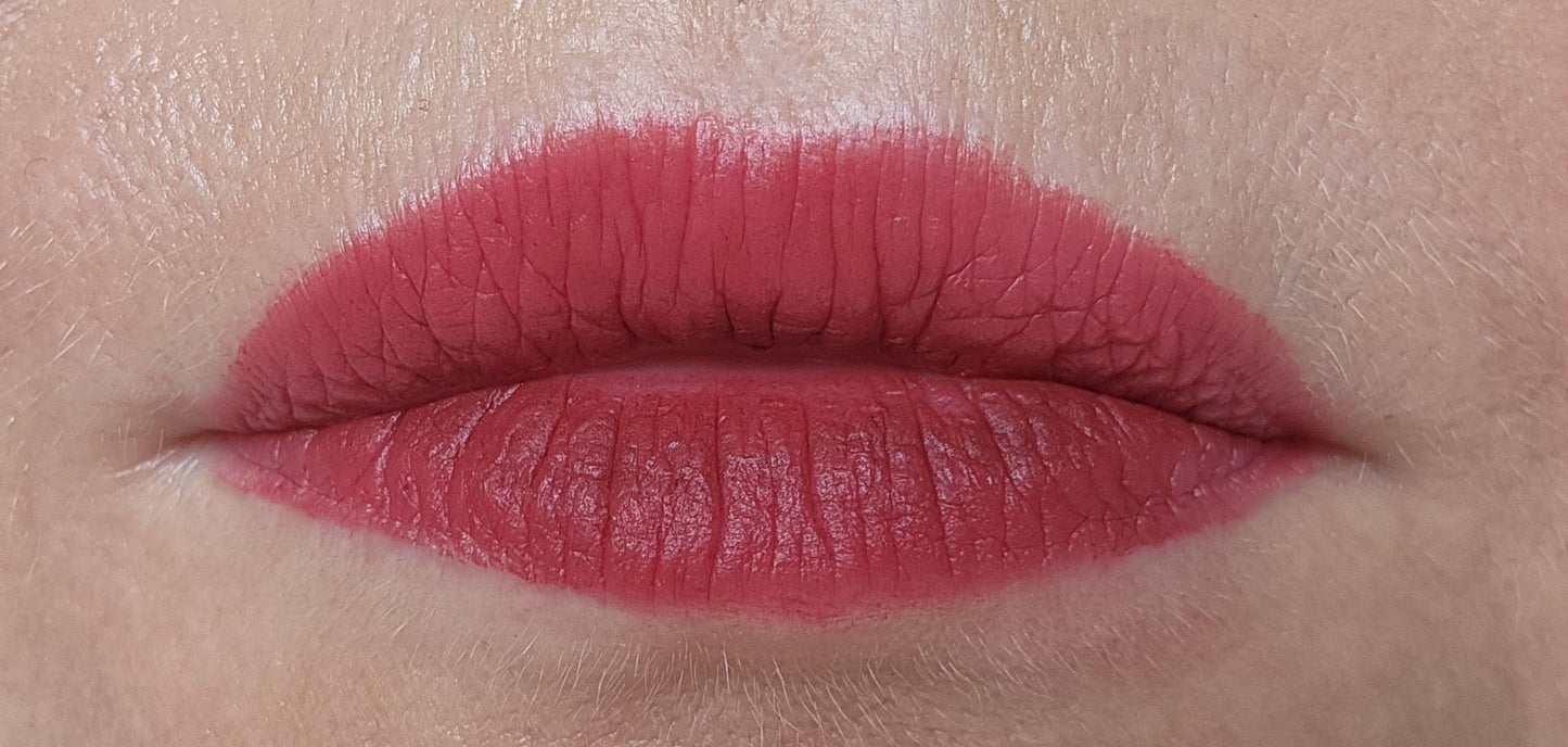 Women wearing Frankie Blair Matte Lip Stain Desert Rani, A reddish brown lip stain that is long lasting and hydrating.